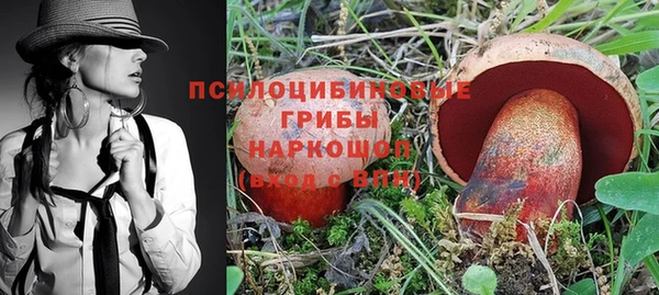 стаф Аркадак