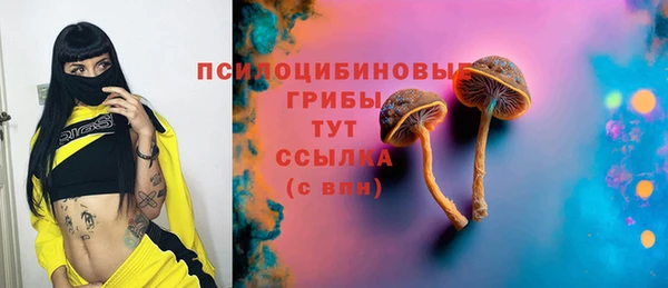 тгк Арсеньев