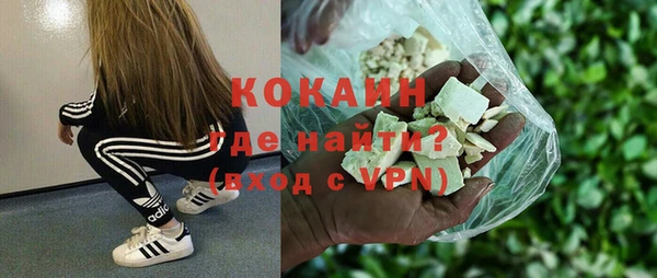 стаф Аркадак