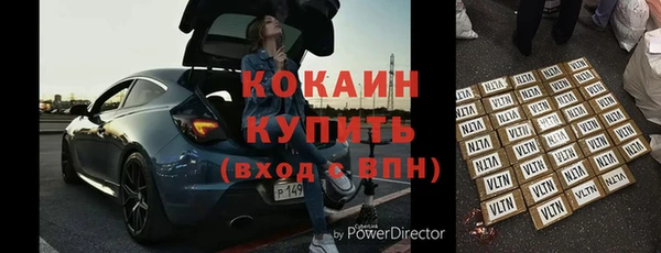 стаф Аркадак
