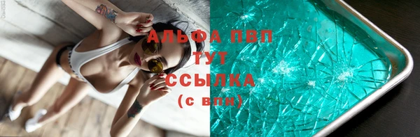 стаф Аркадак